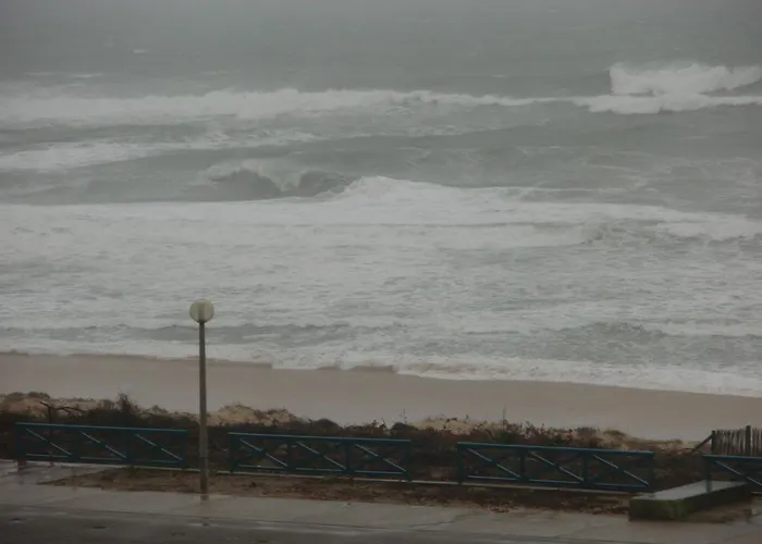 Ocean View Oceanide Lejlighed *